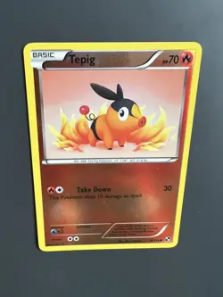 Tepig - 16/114 - Reverse Holo Common Black & White 2011 Pokemon TCG Card - Image 3