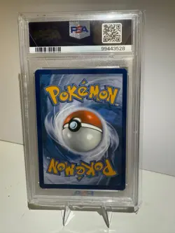 Pokemon 2024 Squirtle 148/142 Illustration Rare Stellar Crown GEM MINT PSA 10 - Image 4