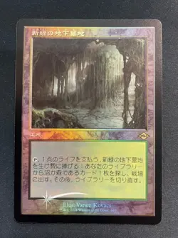 MAGIC The Gathering Old Frame Foil Fetchland 112991 - Image 5