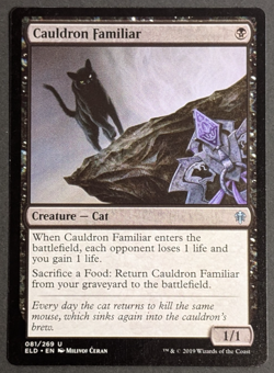 MTG Card - 1x Cauldron Familiar - Throne of Eldraine - NM - Magic The Gathering - Image 1