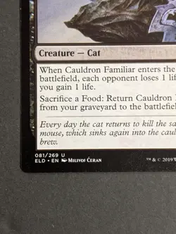 MTG Card - 1x Cauldron Familiar - Throne of Eldraine - NM - Magic The Gathering - Image 3