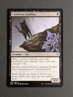 MTG Card - 1x Cauldron Familiar - Throne of Eldraine - NM - Magic The Gathering - Image 5