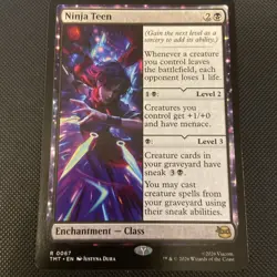Ninja Teen Teenage Mutant Ninja Turtles; MTG - Image 1