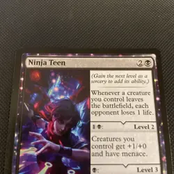 Ninja Teen Teenage Mutant Ninja Turtles; MTG - Image 2