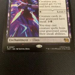 Ninja Teen Teenage Mutant Ninja Turtles; MTG - Image 3