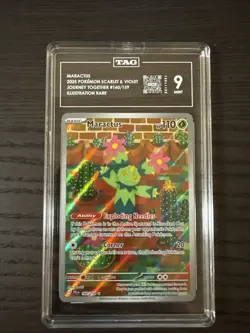 Maractus 160/159 Illustration Rare 2025 Pokemon Journey Together TAG 9 Mint - Image 1