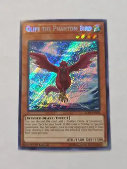 Yugioh Glife the Phantom Bird BLRR-EN008 Secret Rare 1st Ed NM - Image 1