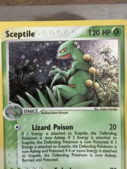Sceptile 11/109 Ruby and Sapphire Holo Pokemon Card - Image 2