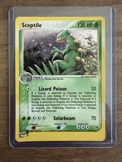 Sceptile 11/109 Ruby and Sapphire Holo Pokemon Card - Image 4