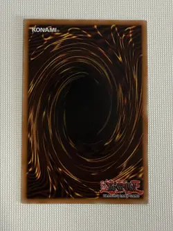 Yugioh - Dracotail Lukias - Ultra Rare - JUSH-EN001 - 1st Edition NM. Top Loaded - Image 2
