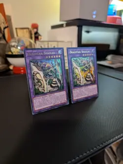 1x Dracotail Shaulas - BPRO-EN037 - Ultra Rare - 1st Edition - NM - Yu-Gi-Oh! - Image 3