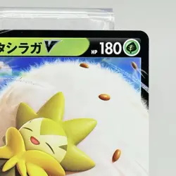 Eldegoss V RR 016/190 Holo S4a Shiny Star V Pokemon Card Japanese NM - Image 3