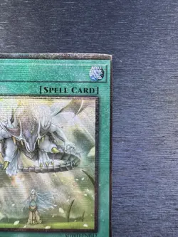YuGiOh! Wishes For Eyes Of Blue SDSW - Error Misprint Wrong Name NFC MP - Image 4