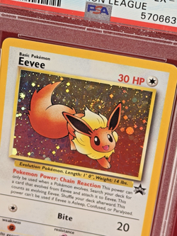 2000 Black Star Promo Pokemon League EEVEE Holo Card #11 PSA 6 - Swirl - Image 2