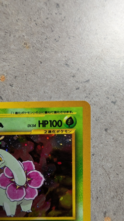 Pokemon Card Meganium No. 154 Holo Foil Chikorita Side Deck NM/M - Image 3