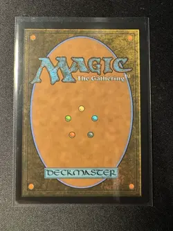 MTG Abandoned Air Temple Avatar The Last Airbender #263 NM - Image 4
