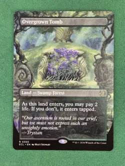 MTG Overgrown Tomb (Borderless) Lorwyn Eclipsed - Regular Magic The Gathering - Image 3