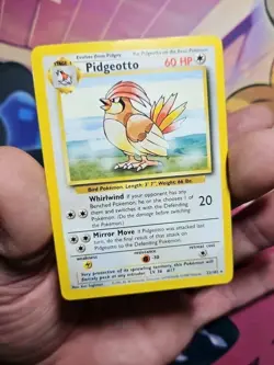 Pidgeotto 22/102 Pokemon TCG Base Set Unlimited MP - Image 3