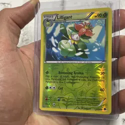 Lilligant 14/98 Reverse Holo Uncommon Emerging Powers Pokemon Card NM/MT TCG - Image 2