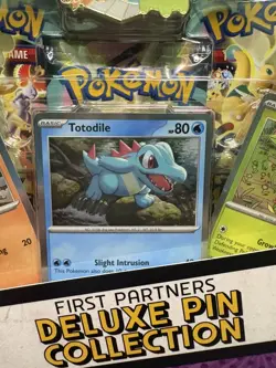 Pokemon TCG Ascended Heroes Deluxe Pin Collection Box NEW- FACTORY SEALED - Image 3