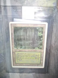 Bayou MTG Revised Edition x1 3rd Edition Dual Land (Already Authenticated!) - Image 4