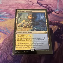 Mtg Hallowed Fountain - Lorwyn Eclipsed + Bonus Foils - Image 2
