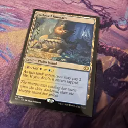 Mtg Hallowed Fountain - Lorwyn Eclipsed + Bonus Foils - Image 5