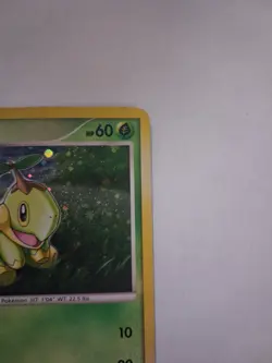 Turtwig DP01 Holo Pokemon Card Diamond and Pearl Promo - Image 5