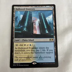Hallowed Fountain Ravnica Allegiance Regular Land Rare White Blue MTG 251/259 - Image 1