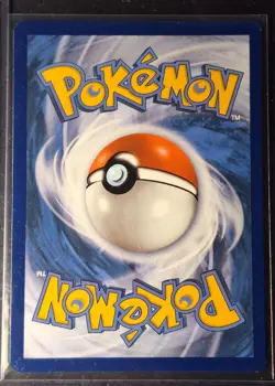 Pokemon TCG Eevee Black Star Promo 043 - Image 2