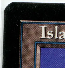 Magic: The Gathering - Guru Land, Island Lightly Played MTG LP cEDH - Image 5