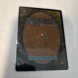MTG Hushwood Verge Duskmourn: House of Horror #261 Rare Regular EN Land - Image 3