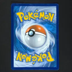 Greninja XY162 - Black Star Promo - Pokemon Card - Image 4