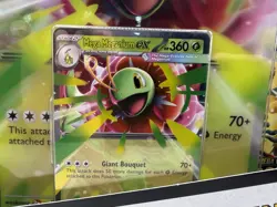 Pokemon TCG Mega Meganium Ex Box Sealed. Ascended Heroes - Image 3