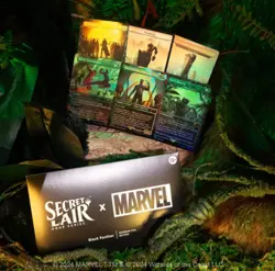 Secret Lair X Marvel Heroic Everything Bundle MTG Foil/Non Foil Sealed IN HAND - Image 5