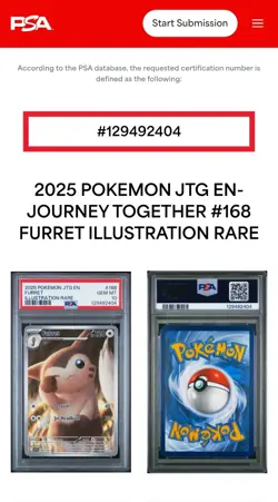 2025 Furret PSA 10 Pokemon SV09 Journey Together Illustration Rare 168/159 💎MT - Image 3