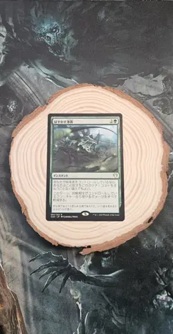 Obscuring Haze #308 (NM) Commander Masters CMM Magic MTG pack fresh - Image 1