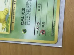 Southern Islands Japanese Beach and Jungle Pokemon Set - Image 3
