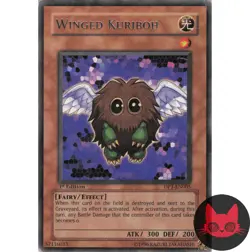 Yugioh Winged Kuriboh DP1-EN005 Rare 1st Edition MP - Image 1