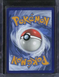 2025 Pokemon Journey Together Illustration Rare #162 Wailord #1 - Image 2