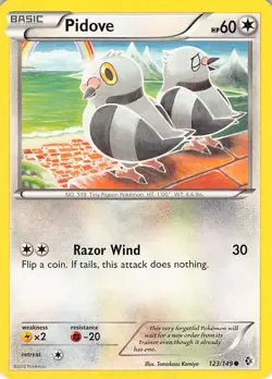 Pidove 123/149 Common Boundaries Crossed Pokemon MP Komiya - Image 1