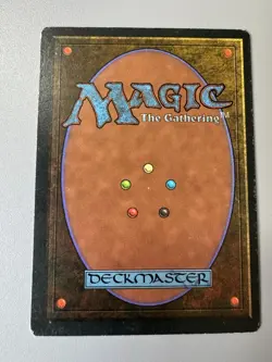 Wall of Kelp Homelands Regular - MTG - Magic The Gathering - LP - Image 2