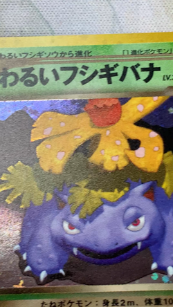 Pokemon Card Dark Venusaur No.003 Trainers Magazine Promo Japanese 2001 #2889 - Image 2