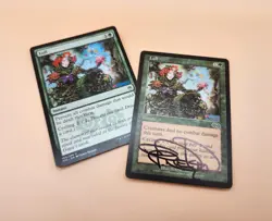 2021 Magic the Gathering Cards 250+ with Kaldheim Box - Image 2