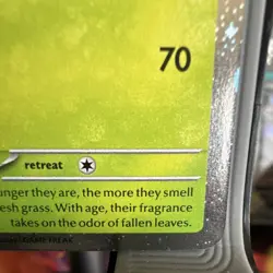 Pokemon Leafeon SVP: Scarlet & Violet Promo 170 Holo 120 HP 2025 Iori Suzuki - Image 4