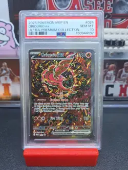 🐦‍🔥💎2025 POKEMON MEP EN-ME BLACK STAR PROMO #024 ORICORIO EX PSA 10 💎 - Image 2