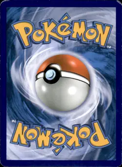 Minccino (86) 86/124 Common - Pokemon XY - Fates Collide - MP - Image 2