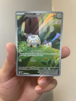 2025 Pokemon Phantasmal Flames Togedemaru Illustration Rare #104/094 - Image 1