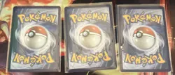 Pokemon First Partner Illustration Rare Turtwig Chimchar Piplup 30th Anniversary - Image 5