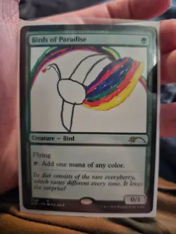 Birds of Paradise (1148) - Secret Lair Drop Series (SLD) - Image 1